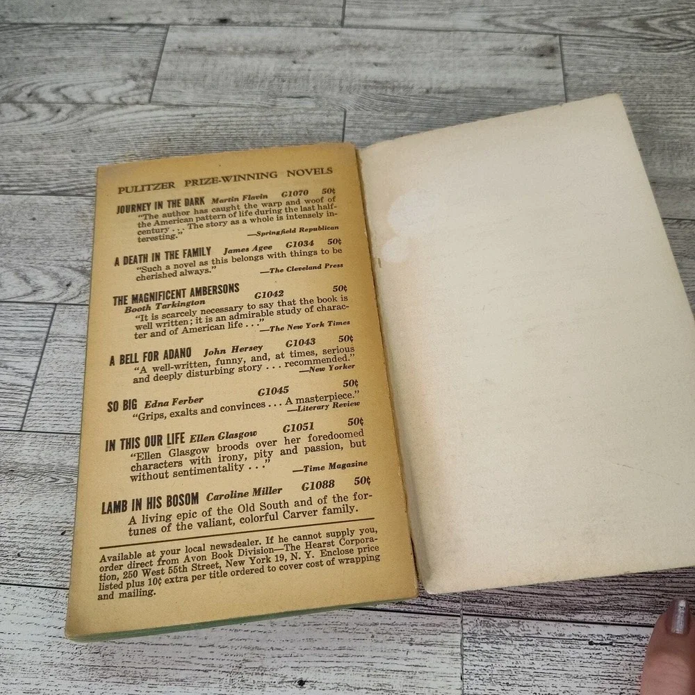 THE STORE by T.S. Stribling Rare 1960s Avon V2046 Paperback Southern Lit Classic